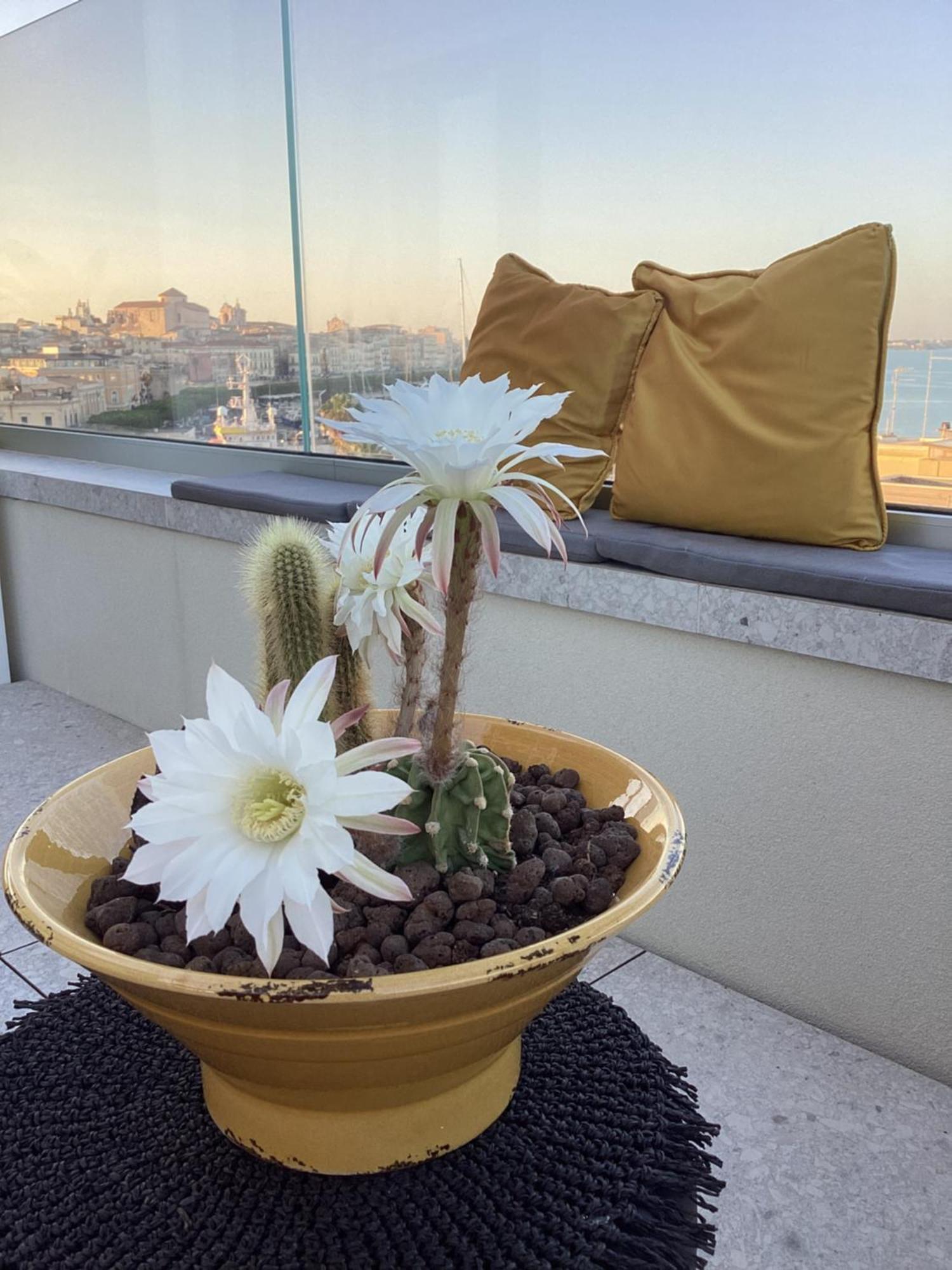Bed and Breakfast La Terrazza Sul Porto Syracuse Екстер'єр фото