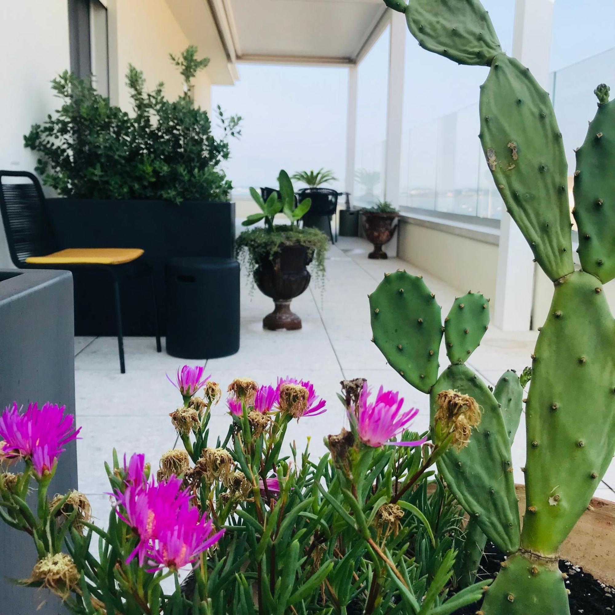 Bed and Breakfast La Terrazza Sul Porto Syracuse Екстер'єр фото